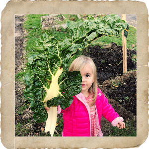 Amelia with chard framed